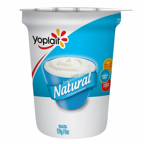 Yoplait Yogurt Natural 170 GR