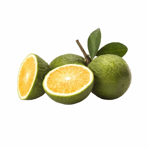 Naranja Agria Un
