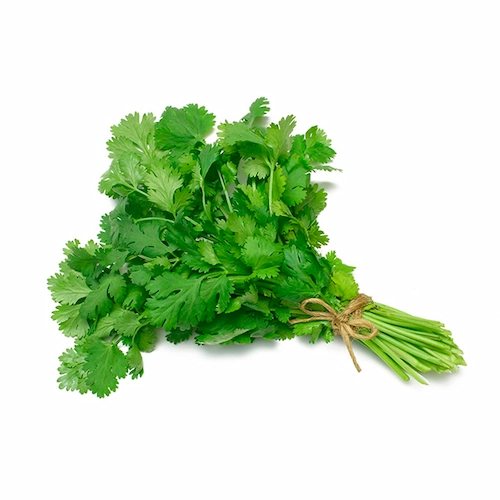 Cilantrico Paq.