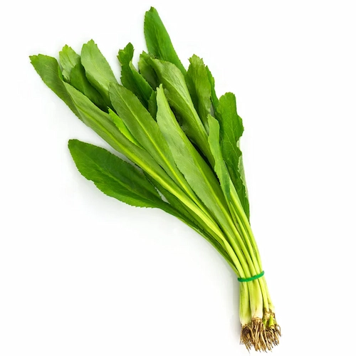 Cilantro Ancho Paq.