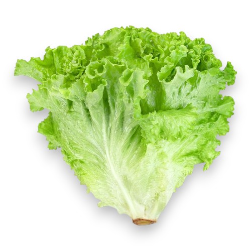 Lechuga Gourmet Un