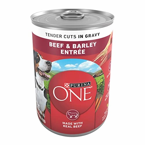 Purina One Beef 13 OZ